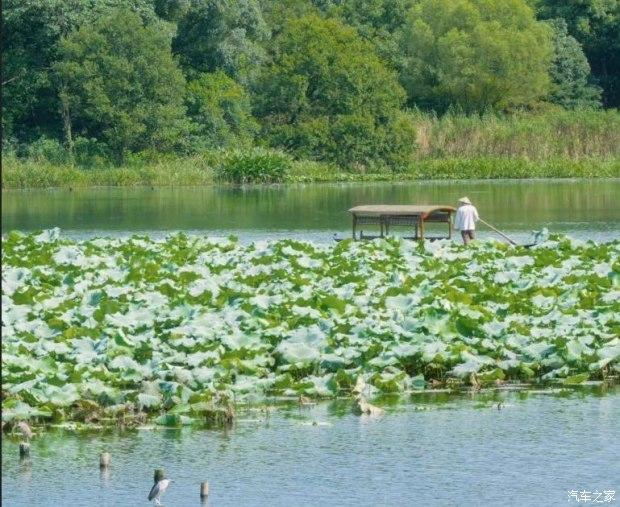 从你的全世界路过插曲，从你的全世界路过小说（纸短情长-开着哪吒V和你去远方）