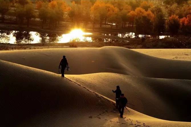 旅游新鲜报旅游骑马摔伤旅行社担责七成