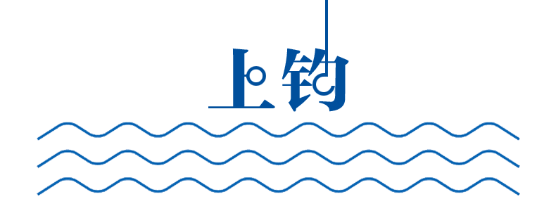 弹丸之国冰岛，因为鳕鱼跟大英帝国干了三仗，都赢了