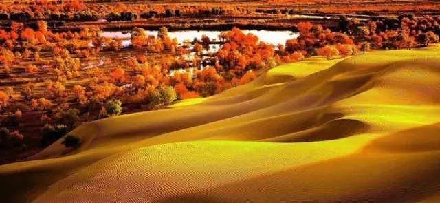 旅游新鲜报旅游骑马摔伤旅行社担责七成