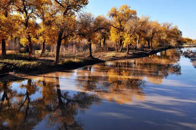 旅游新鲜报旅游骑马摔伤旅行社担责七成
