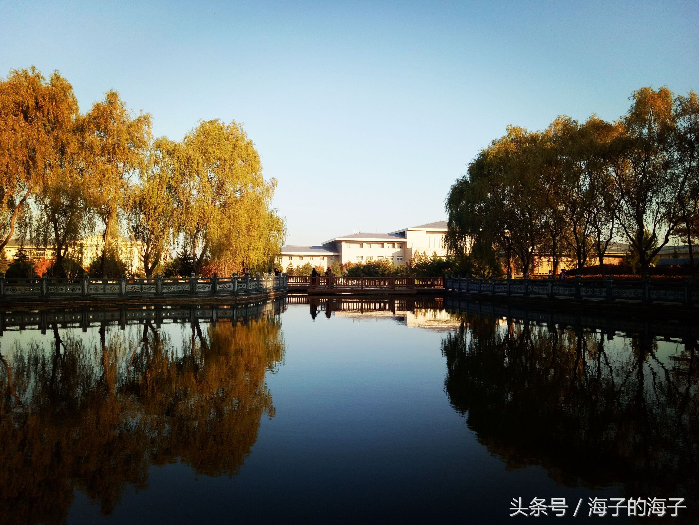 《崆峒秋来风景异，南归雁去无留意》崆峒秋景之《 相思子》