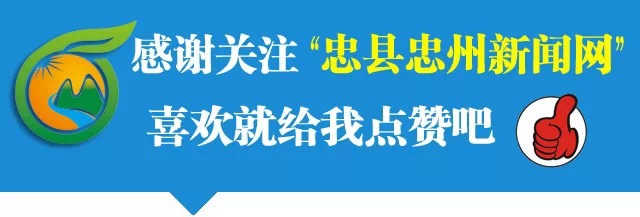 忠县招聘信息（忠县人民法院公开招聘4名书记员助理）