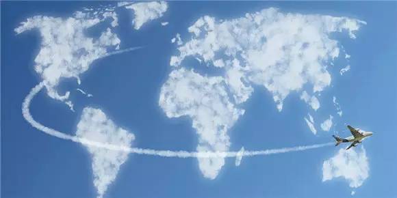 旅游新鲜报旅游骑马摔伤旅行社担责七成