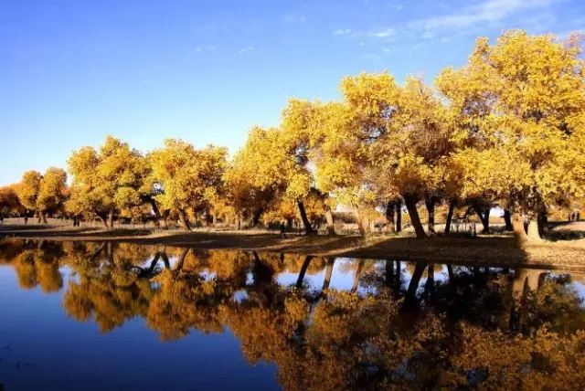 旅游新鲜报旅游骑马摔伤旅行社担责七成