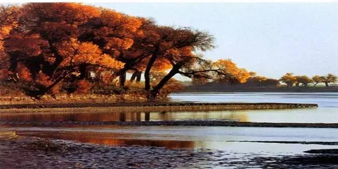 旅游新鲜报旅游骑马摔伤旅行社担责七成