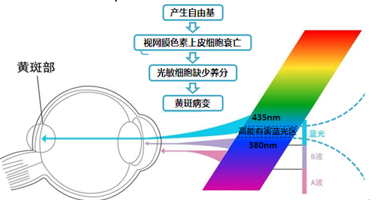 花几百元给孩子买滤蓝光眼镜？不如免费下载护眼软件