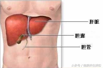 手掌上的5个诊病区，看手相识健康！