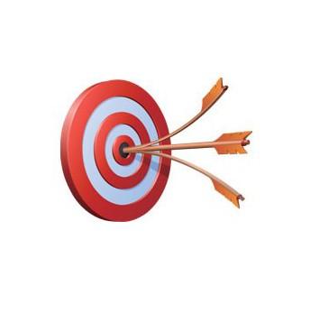 有的放矢是什么意思 有的放矢的类似表述-北京百科网