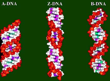 有趣的数学——螺旋线