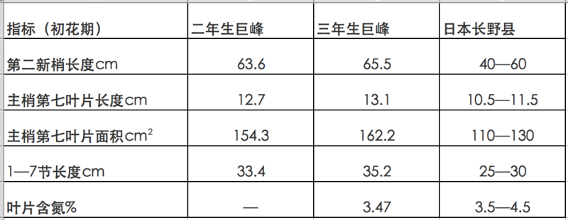 巨峰葡萄种植技术,巨峰葡萄种植技术与管理视频