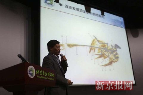 北京自然博物馆首映4D电影 还原恐龙羽毛颜色