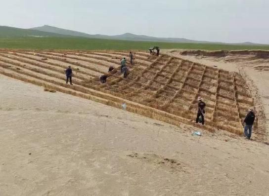 蒙草牵手央视权威平台 倡导“驯化乡土植物修复生态”