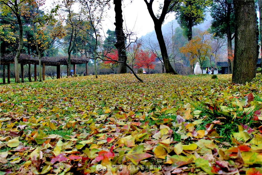 天平山,那惊艳世界的一抹秋色
