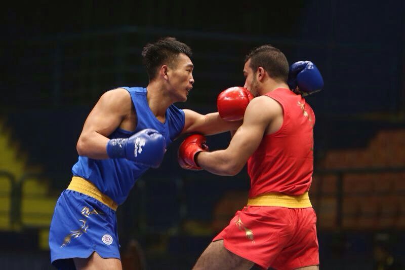 武术世界杯中国队女子太极拳(第八届世界杯武术散打比赛西安完美落幕 中国队十人参赛夺得十枚金牌)