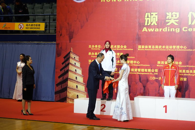 武术世界杯中国队女子太极拳(第八届世界杯武术散打比赛西安完美落幕 中国队十人参赛夺得十枚金牌)