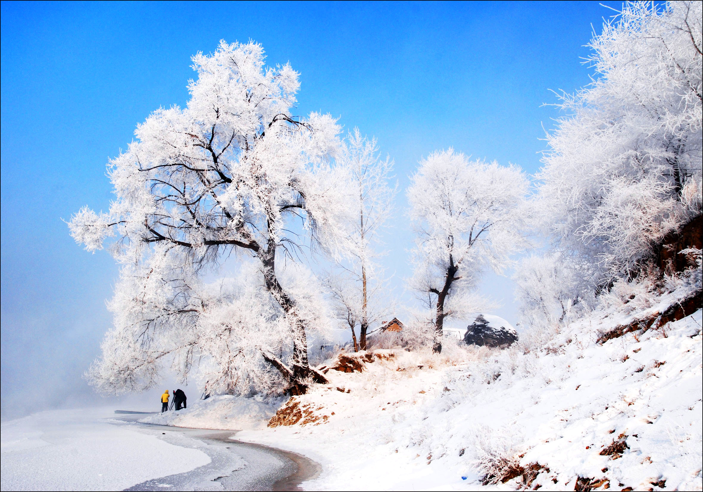 冬季旅游必去景点之中国雪乡