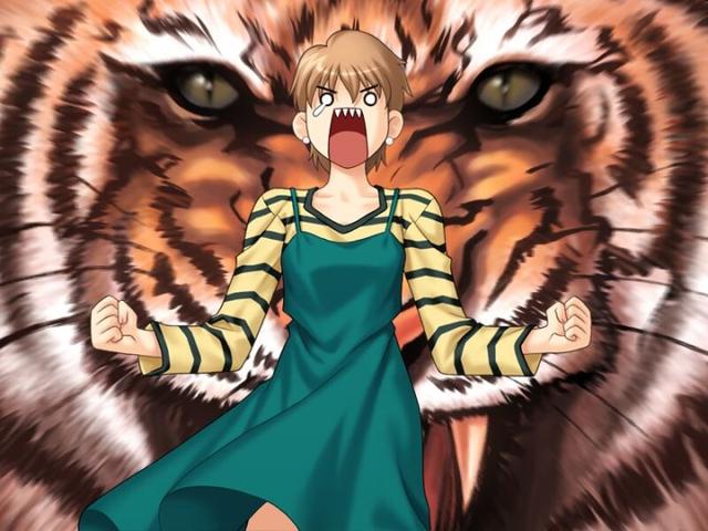 藤村大河是《fate》系列中的角色,现年25岁,是穗群原学园高中部的英语