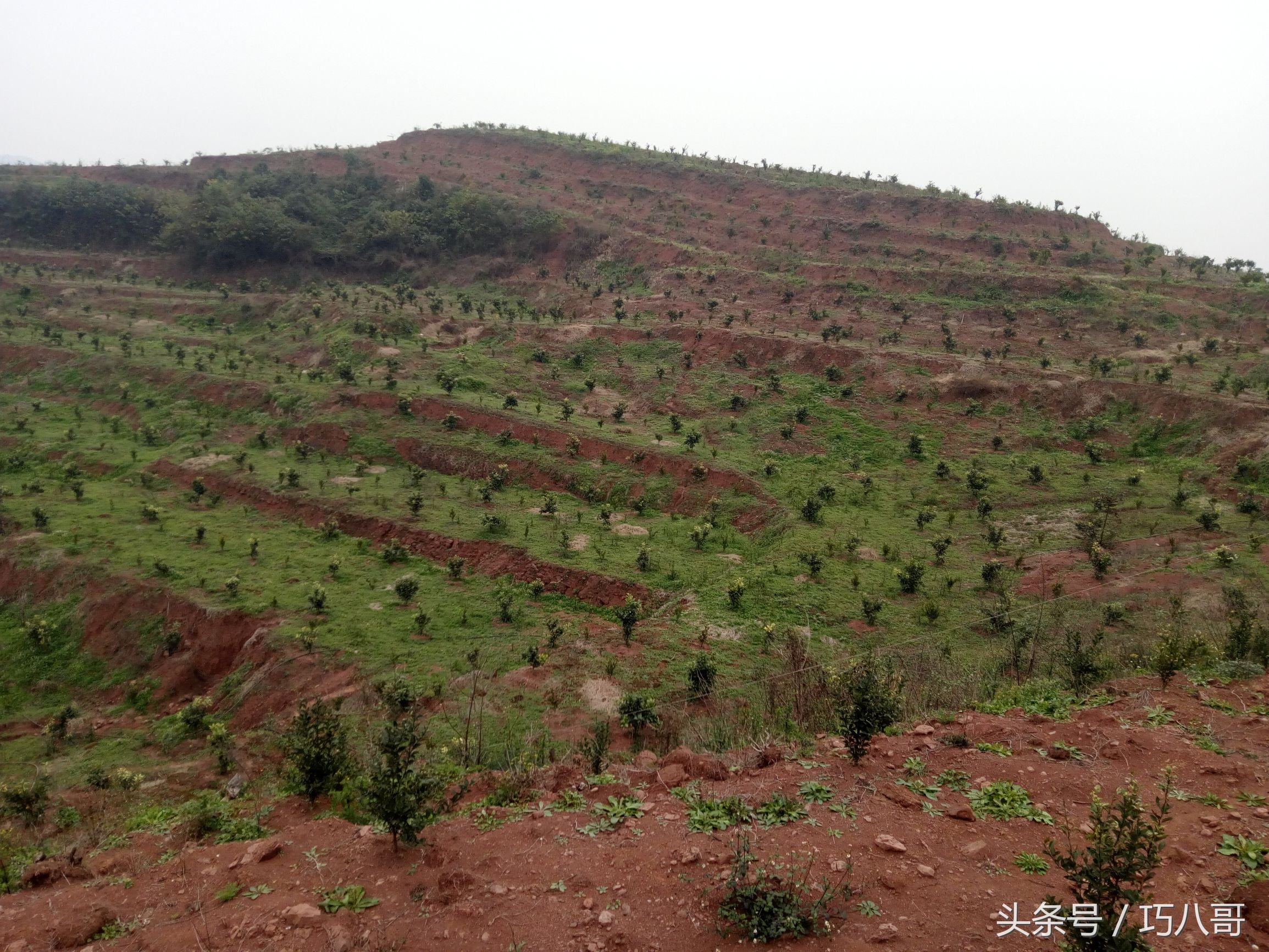 登高望远 山高水长