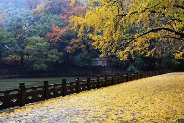 宁波天童寺，佛门净地前的虔心一拜