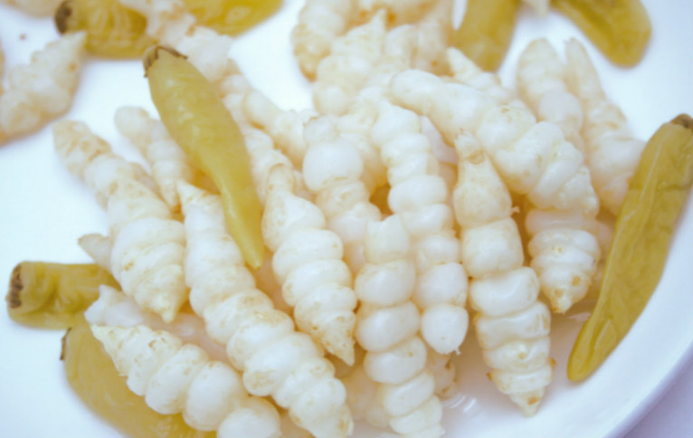 农村的地蚕,能吃还能治病