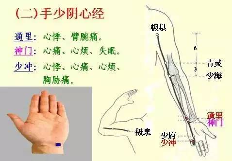 手掌上经络位置图（手掌上经络位置图左手）-第4张图片-科灵网