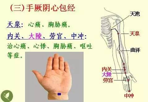 手掌上经络位置图（手掌上经络位置图左手）-第5张图片-科灵网