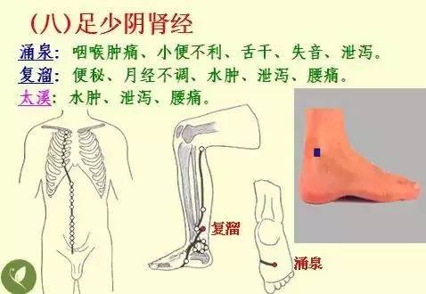 手掌上经络位置图（手掌上经络位置图左手）-第9张图片-科灵网