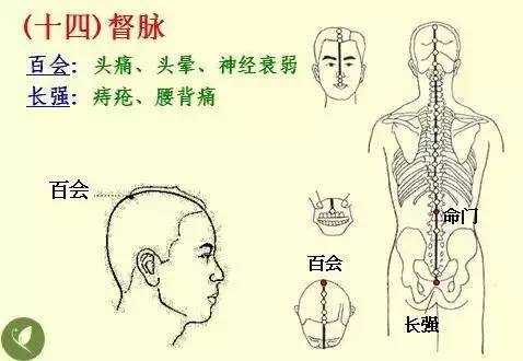 手掌上经络位置图（手掌上经络位置图左手）-第14张图片-科灵网