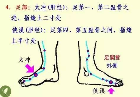 手掌上经络位置图（手掌上经络位置图左手）-第38张图片-科灵网