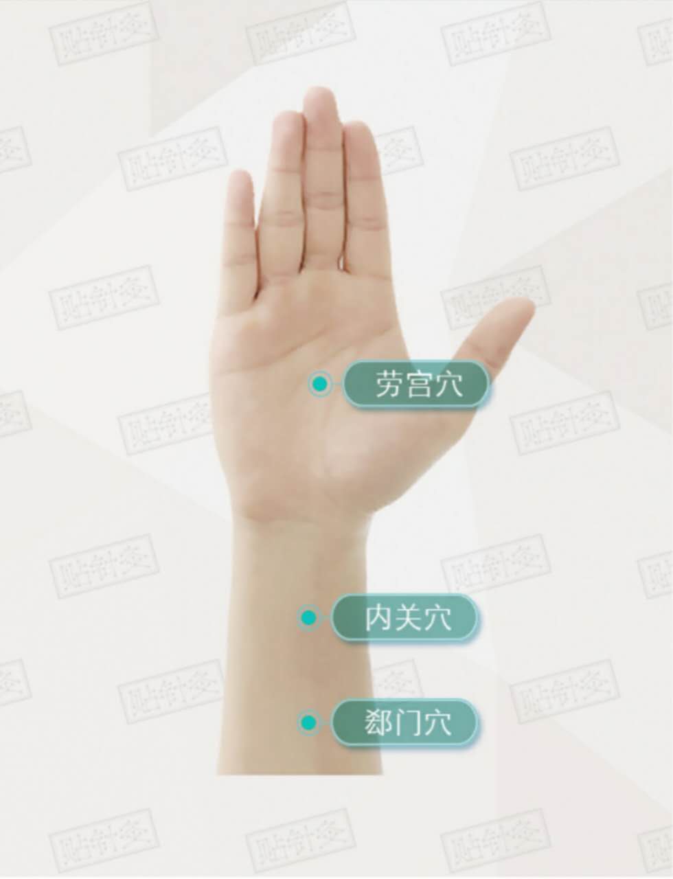 “六脉神剑”指哪六脉？