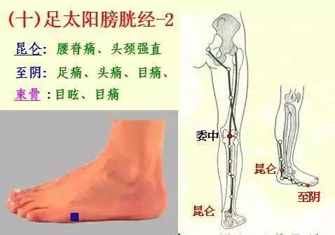 手掌上经络位置图（手掌上经络位置图左手）-第12张图片-科灵网