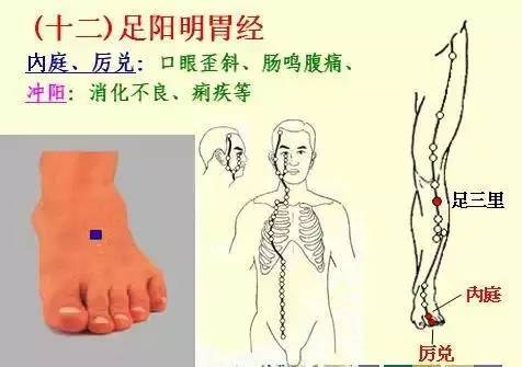 手掌上经络位置图（手掌上经络位置图左手）-第16张图片-科灵网