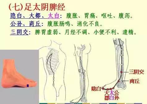 手掌上经络位置图（手掌上经络位置图左手）-第8张图片-科灵网