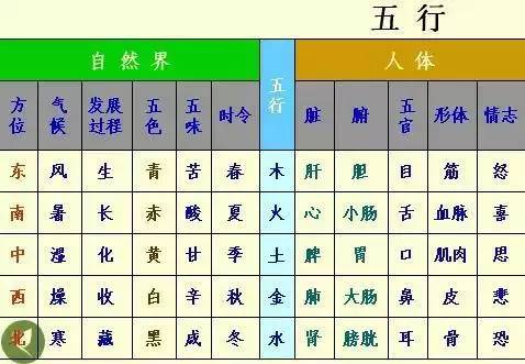 手掌上经络位置图（手掌上经络位置图左手）-第28张图片-科灵网