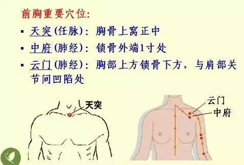 手掌上经络位置图（手掌上经络位置图左手）-第34张图片-科灵网