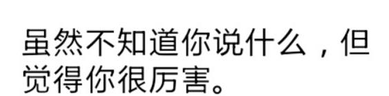 喵问01：国宝大熊猫到底是不是猫？