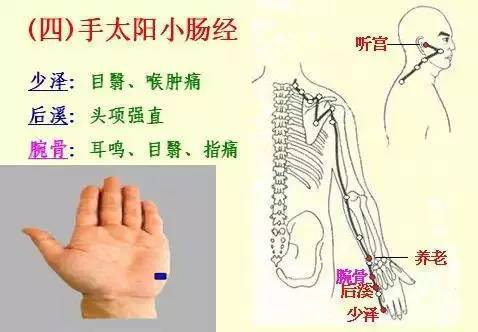 手掌上经络位置图（手掌上经络位置图左手）-第6张图片-科灵网