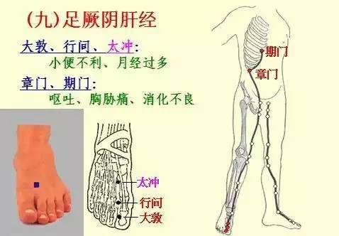 手掌上经络位置图（手掌上经络位置图左手）-第10张图片-科灵网