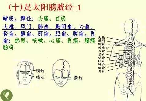 手掌上经络位置图（手掌上经络位置图左手）-第11张图片-科灵网