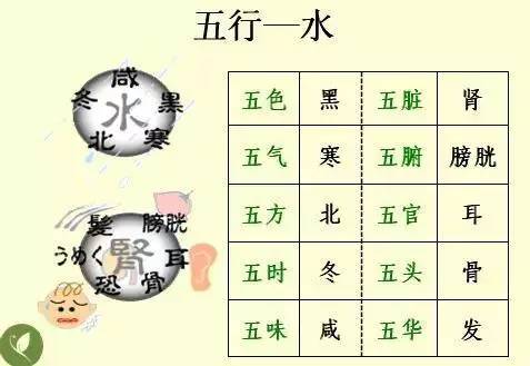 手掌上经络位置图（手掌上经络位置图左手）-第27张图片-科灵网