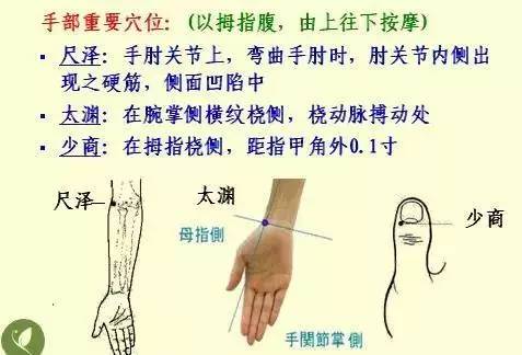 手掌上经络位置图（手掌上经络位置图左手）-第32张图片-科灵网