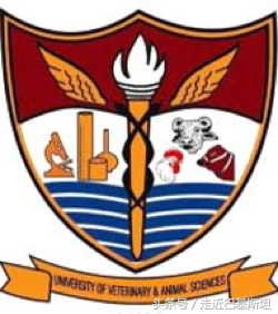 教育｜巴基斯坦大学系列之一，巴国大学前十位