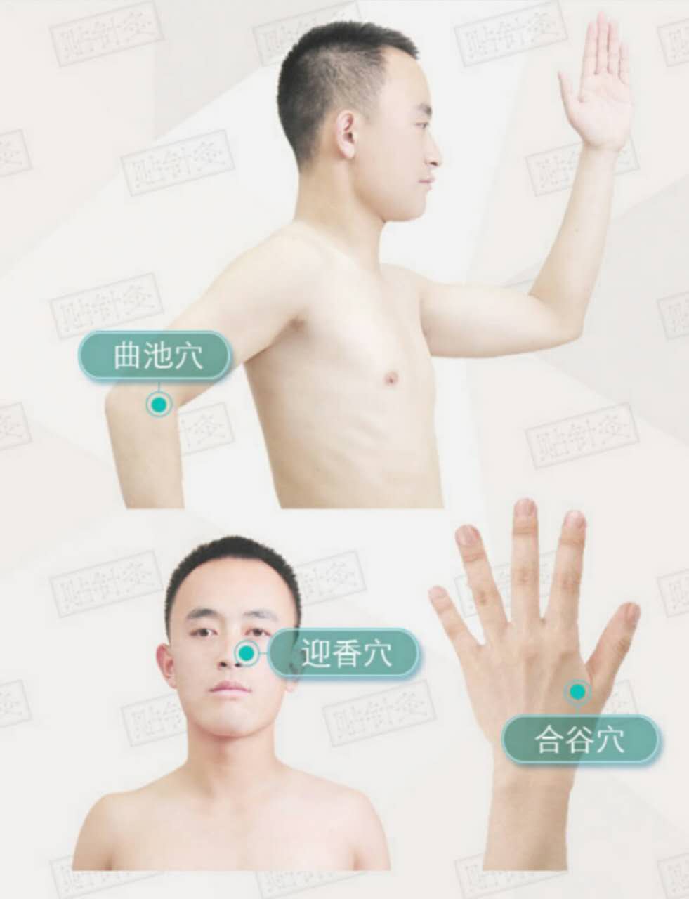 “六脉神剑”指哪六脉？