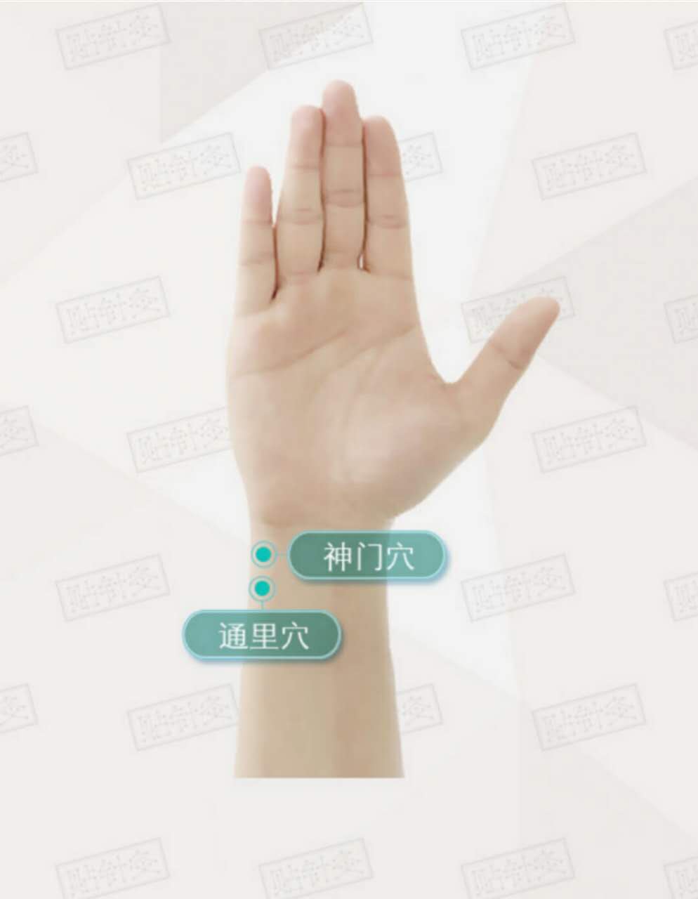 “六脉神剑”指哪六脉？