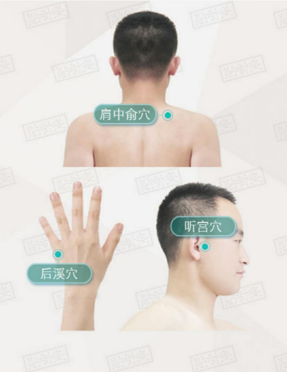 “六脉神剑”指哪六脉？