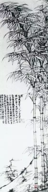 ĸ(de)ĸ-11(zhang)ͼƬ-Ѷ
