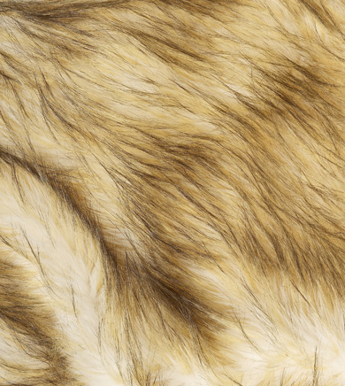 教您简单辨别狐狸毛的真假