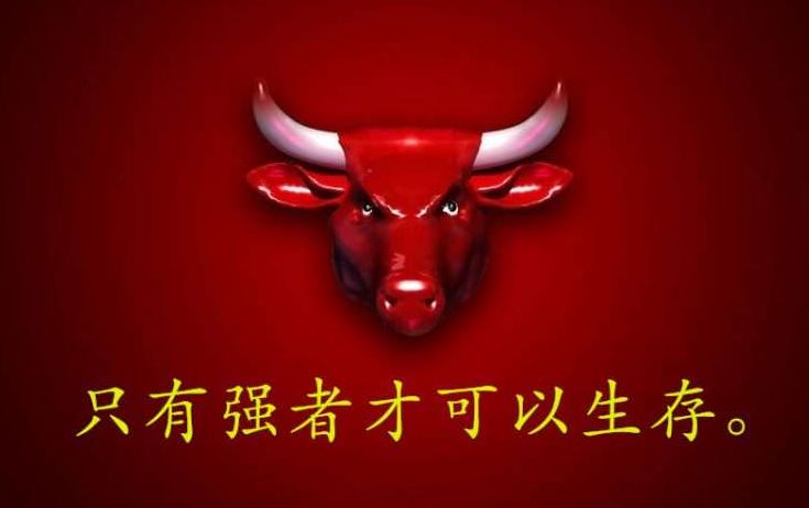 各个NBA球队的更衣室励志格言！来看看你的主队格言是什么