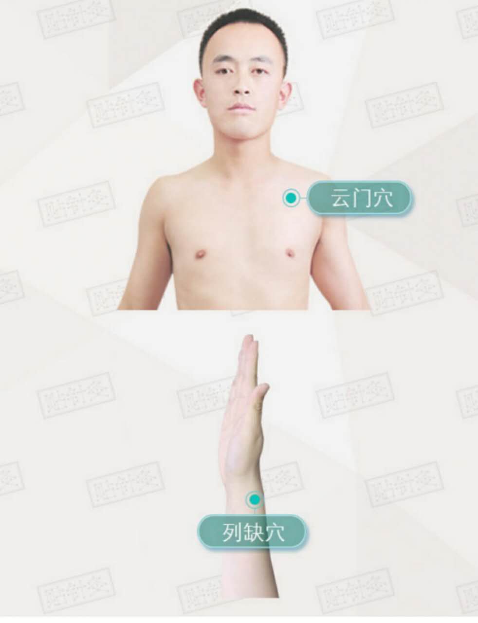 “六脉神剑”指哪六脉？